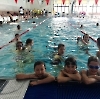 Schwimm-Wettkampf