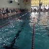 Grundschul-Schwimmwettkampf