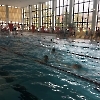 Schwimmwettkampf