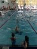 Schwimm-Wettkampf